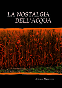 Copertina La Nostalgia dell'acqua di A. Masseroni